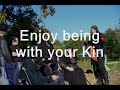 festival_0001.mpg.wmv festival_0001.mpg.wmv