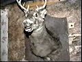 Dead Acres Haunted Hoochie Americas Haunt