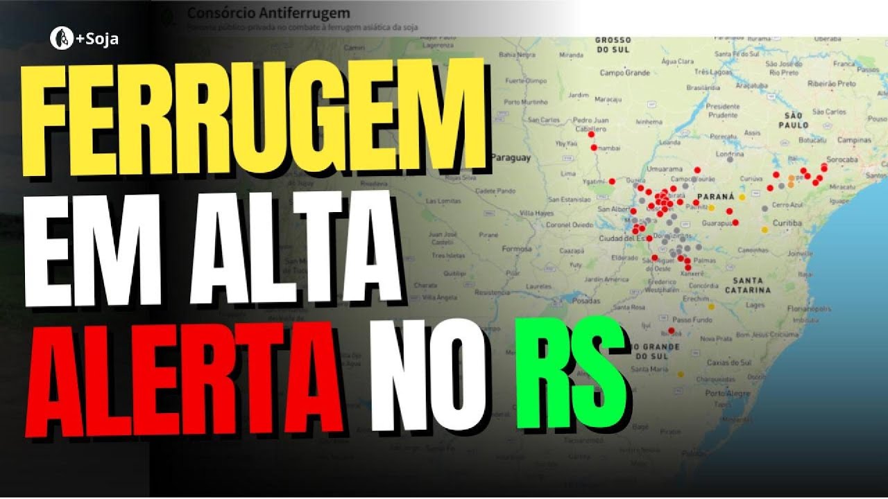 Ferrugem-asiática: Primeiro caso do RS é registrado em lavoura comercial