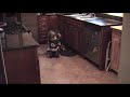 Stealing Cookies