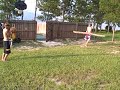 TREE baseball