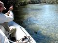 werther pesca 1