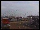 another pigeon racing musical another pigeon racing musical