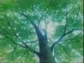 A Nightwish song to Bulma, Vegeta & Trunks