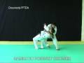 videos de HSS Grade 01-02