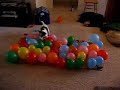 Dog vs. Balloons