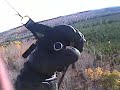 Topland Cauldrons Lip Part 1