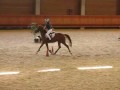 Gimkana Jump con Pimpa