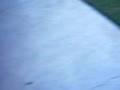 walking juliana to her car