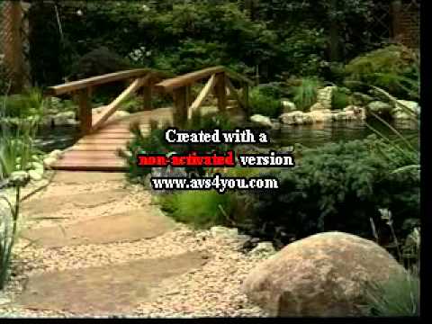 koi - koi dvd.