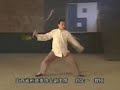 another xing yi chuan jian form