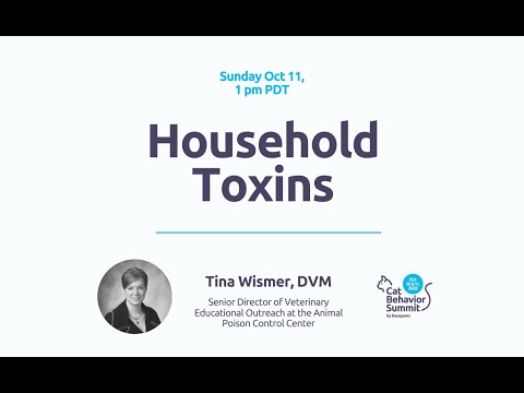 Avoiding Toxic Traps For Cats In Your Home [Cat Behavior Summit 2020]