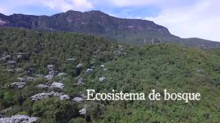 Boyacá es líder en ecosistemas de Bosque