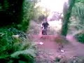 eric o sullivan riding enniskerry trails eric o sullivan riding enniskerry trails