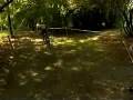 Sven Nys te Aalter