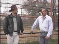 International Exotic Feline Sanctuary