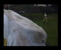 mariners vannes 27 - 20 tonnerre brest

6e journ�e chpt bpdl
28/01/07
