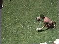 video del proceso del dibujo de la sombra de unos zapatos hechos con piedras y como soporte el pasto, hecho por juan jos� santa cruz correa