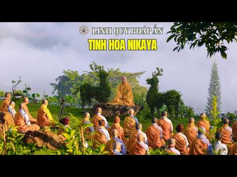 NIKAYA Giảng Giải - Ái Dục Là Cội Gốc Của Khổ - Kinh BHADRA - Tương Ưng Bộ IV *