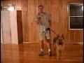 Dog Training - Train Sit, Down, and Stand with Hand Signals Dog Training - Train Sit, Down, and Stand with Hand Signals