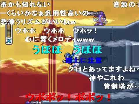 動画
