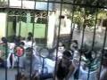 videos de sarah rose castillo 6