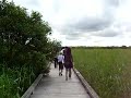 Kushiro moor