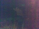 Acquarium O Grove