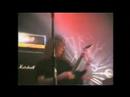Carcass - Pedegree Butchery (4-8) Carcass - Pedegree Butchery (4-8)