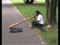 [ethnic music] didgeridoo busker - alexanderplatz berlin (de) europe........alan dargin is a didjeridoo player from arnhem land, australia. he started learning the instrument at age five, being taught by his grandfather. his signature instrument is over a hundred years old and is made from an extinct species of eucalyptus known as the bloodwood tree.

he has performed on the streets of sydney and with the london symphony orchestra at royal albert hall, as well as many other locations in the united states, japan, and europe. he has also had roles in several movies, of which the adventures of priscilla: queen of the desert is probably the best known.

dargin holds a degree in science from the university of toronto.......actor:

    * 1990s
    * 1980s

   1. heaven's burning (1997) .... rasta #1
   2. the adventures of priscilla, queen of the desert (1994) .... aboriginal man

   3. howling iii (1987) .... tracker
      ... aka howling iii: the marsupials
      ... aka the marsupials: the howling iii (uk)
   4. the fringe dwellers (1986) .... bruce
   5. stanley: every home should have one (1984) .... bobby
   6. chase through the night (1983) (tv) .... bindaree