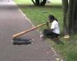 Didjeridoo