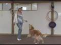 Dr. Schoen: Human-Canine Bond Can Change the Way We Live