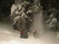 Koch in snow5