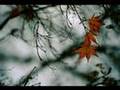 Flott en Chantant l'Automne...