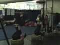 VIDEO: Greg Archer goes behind the scenes of Cirque du Soleil's OVO in San Francisco - http://bit.ly/91LF38