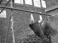 Strength Conditioning 2007