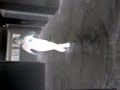 and,comment,enjoy
