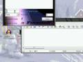 My Spammer!.wmv