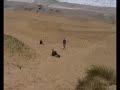 Josh does dune.MP4