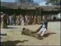 funniest fight scene ever