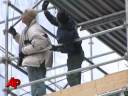 Star Is Born: New York Tree Topped by Crystal