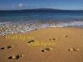 Lead Me Lord by Gary Valenciano
