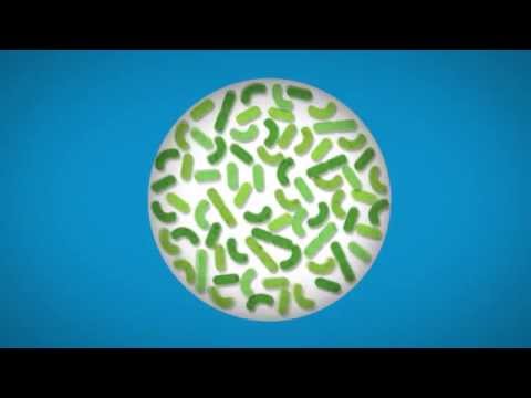 how to eliminate oxygen