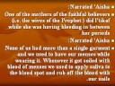 Menstrual Period Hadiths