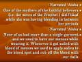 Menstrual Period Hadiths