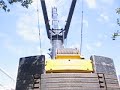Liebherr LTM 1500-8.1 hebt Betonbinder 1/5 Liebherr LTM 1500-8.1 hebt Betonbinder 1/5