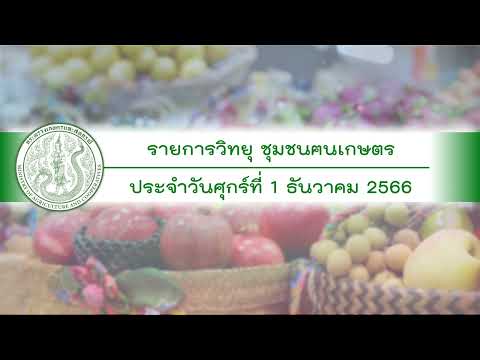 รายการวิทยุชุมชนฅนเกษตร ประจำวันที่ 1 ธันวาคม 2566