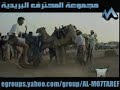Camel Jumping