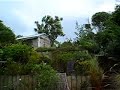 Windy Wellington Windy Wellington
