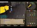 Whip luring + 1 dark bow, old wildy. 24m earnings.